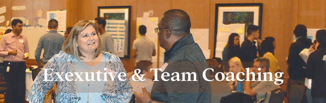 Executive and Team Coaching